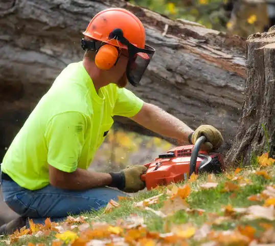 tree services Brass Castle